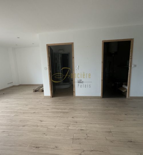 Local commercial zone commerciale St Doulchard