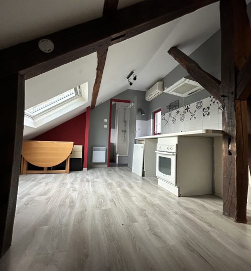 Deux studios en coeur de centre-ville idéal projet LMNP