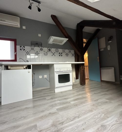 Deux studios en coeur de centre-ville idéal projet LMNP