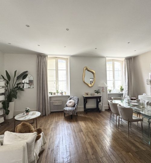 Coeur de centre-ville de Bourges, au pied du Palais Jacques Coeur, appartement rénové avec grande terrasse, pi