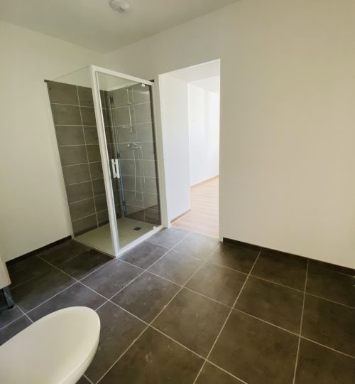 Appartement neuf situé à l’arrière de la rue d’Auron – Idéal projet professionnel