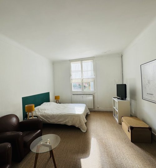 Appartement idéal projet locatif meublé