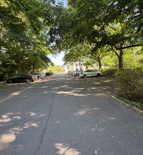 Locaux professionnels au bord du lac d’Auron