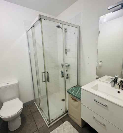 EXCLUSIVITÉ   Charmant appartement T2 en duplex de 47 m2, niché dans une ancienne écurie rénovée, au pied des