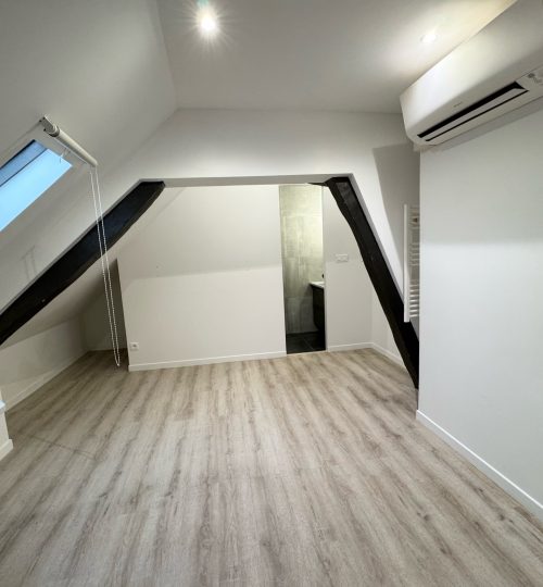 Exclusivité Très bel appartement, charme de l&rsquo;ancien rénové au pied de la cathédrale