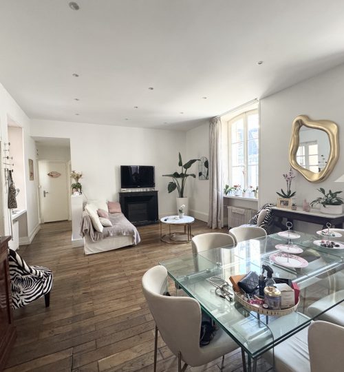 Coeur de centre-ville de Bourges, au pied du Palais Jacques Coeur, appartement rénové avec grande terrasse, pi