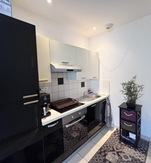Exclusivité appartement résidence de la halle actuellement loué